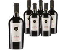 Sicilia DOC Nero d'Avola Syrah Lumà Cantine Cellaro 6x 75cl (2024) – Rotwein, Italien (0.75l)