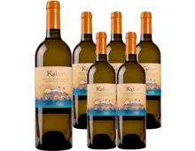 Sicilia DOC Zibibbo Moscato di Pantelleria Donnafugata 6x 75cl (2024), Italien (0.75l)