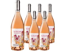 Siciliane DOC Sul Vulcano Etna Rosato Donnafugata 6x 75cl (2024) – Roséwein, Italien (0.75l)