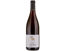Spätburgunder Baden Alte Reben Weingut Michel (2021) – Rotwein, Deutschland (0.75l)