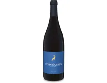 Steinböckler Pinot Noir Malans AOC (2023) – Rotwein, Schweiz (0.75l)