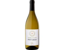 Südtiroler DOC Pinot Grigio Gries (2024) – Weisswein, Italien (0.75l)