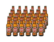 Superbock Bier 24 x 33 cl