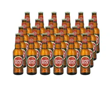 Superbock Bier 24 x 33 cl