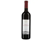Tenuta Montalbano Merlot Ticino DOC (2022) – Rotwein, Schweiz (0.75l)