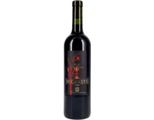 Ticino DOC Merlot Bucaneve (2025) – Rotwein, Schweiz (0.75l)