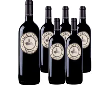 Toscana DOC Merlot Galatrona Val d'Arno di Sopra Petrolo 6x 75cl (2022) – Rotwein, Italien (0.75l)