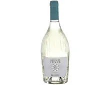 Toscana IGT Bianco Aqua di Venus Ruffino (2025) – Weisswein, Italien (0.75l)