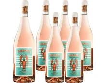 Toscana IGT Rosamati Rosato Fattoria Le Pupille 6x 75cl (2024) – Roséwein, Italien (0.75l)