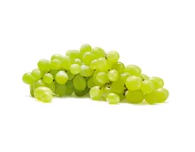Trauben Vittoria ca. 1kg