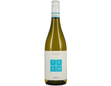 Trebbiano d'Abruzzo DOC Trebì Talamonti (2024) – Weisswein, Italien (0.75l)