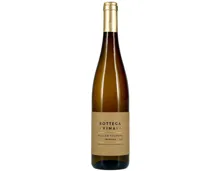 Trentino DOC Müller Thurgau Bottega Vinai Cavit (2022) – Weisswein, Italien (0.75l)