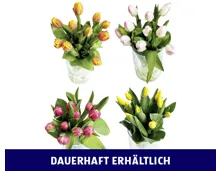 TULPEN
