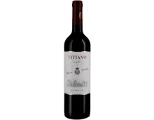 Umbria IGP Rosso Vitiano Falesco (2023) – Rotwein, Italien (0.75l)