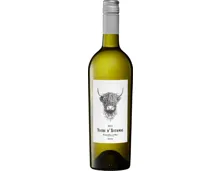 Vache d’Automne Viognier Pays d’Oc IGP