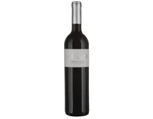 Valais AOC Assemblage Rouge Leon Chai du Baron (2021) – Rotwein, Schweiz (0.75l)