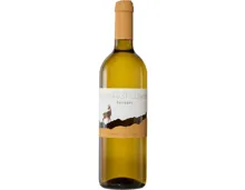 Valais AOC Fendant Nouveau St-Clément (2024) – Weisswein, Schweiz (0.75l)