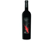 Valais AOC Le Tourmentin (2022) – Rotwein, Schweiz (0.75l)