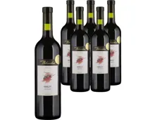 Valais AOC Merlot Bibacchus 6x 75cl (2024) – Rotwein, Schweiz (0.75l)