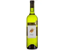 Valais AOC Muscat Terrasses du Rhône Bibacchus (2022) – Weisswein, Schweiz (0.75l)