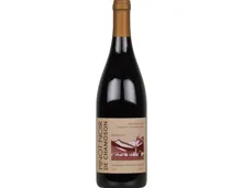 Valais AOC Pinot Noir de chamoson Jean-Claude & Renaud Favre (2020) – Rotwein, Schweiz (0.75l)