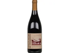 Valais AOC Pinot Noir de chamoson Jean-Claude & Renaud Favre (2023) – Rotwein, Schweiz (0.75l)