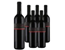 Valais AOC Pinot Noir de Sierre Clavien 6x 75cl (2024) – Rotwein, Schweiz (0.75l)