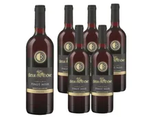 Valais AOC Pinot Noir Fleur du Rhône 6x 75cl (2023) – Rotwein, Schweiz (0.75l)