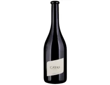 Valais AOC Syrah Cayas Jean-René Germanier (2022) – Rotwein, Schweiz (0.75l)
