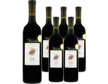 Valais AOC Syrah Terrasses du Rhône Bibacchus 6x 75cl (2024) – Rotwein, Schweiz (0.75l)