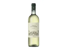 Villa Antinori Bianco, Antonori