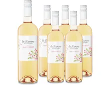 Vin de Pays Romand Gamay Rosé Les Liserons 6x 75cl (2025) – Roséwein, Schweiz (0.75l)