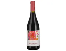Vinho Regional Alentejano Sonhador Howard's Folly (2017) – Rotwein, Portugal (0.75l)