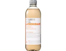 Vitamin Well Antioxidant