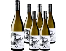 Wachau Grüner Veltliner Weingärten Fuchs Sighardt Donabaum 6x 75cl (2023) – Weisswein, Österreich (0.75l)