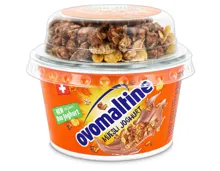 Wander Ovo Joghurt Crisp Müsli