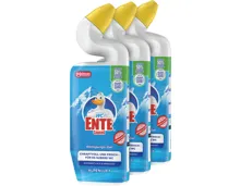WC Ente Gel Alpenluft 3 x 750ml