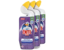 WC Ente Gel Lavender Bloom 3 x 750ml