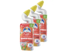 WC-Ente Gel Mango-Verse 3x750ml