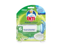 WC Ente WC Stein Frische-Siegel