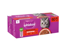 Whiskas Klassische Auswahl in Gelée 60 x 85 g