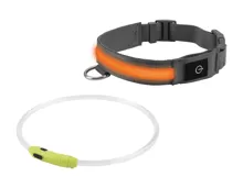 Zoofari LED-Hundeleuchtband/-halsband