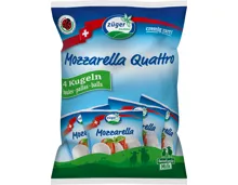 Züger IPS Mozzarella Kugel Quattro 600