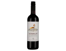 Zürich AOC Blauburgunder Weininger Weinkeller zum Stauffacher (2022) – Rotwein, Schweiz (0.75l)