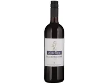 Zürich AOC Blauburgunder Weinkeller zum Stauffacher (2023) – Rotwein, Schweiz (0.75l)