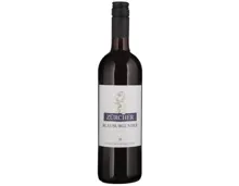 Zürich AOC Blauburgunder Weinkeller zum Stauffacher (2024) – Rotwein, Schweiz (0.75l)