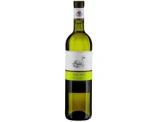 Zürich AOC Riesling Sylvaner Kümin (2024) – Weisswein, Schweiz (0.75l)