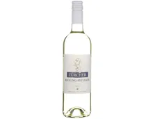 Zürich AOC Riesling-Sylvaner Zürcher Weinkeller zum Stauffacher (2023) – Weisswein, Schweiz (0.75l)