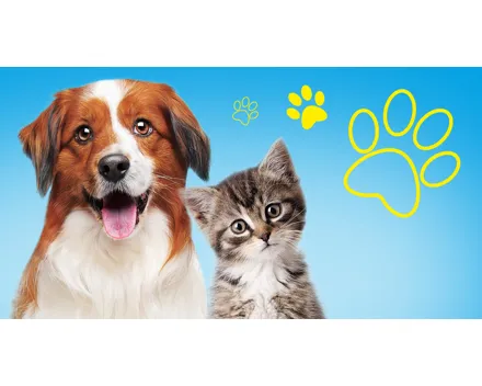 15% Rabatt bei QUALIPET