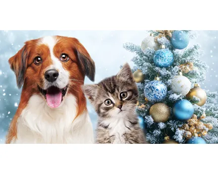 20% Rabatt bei QUALIPET